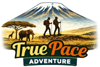 True Pace Adventure
